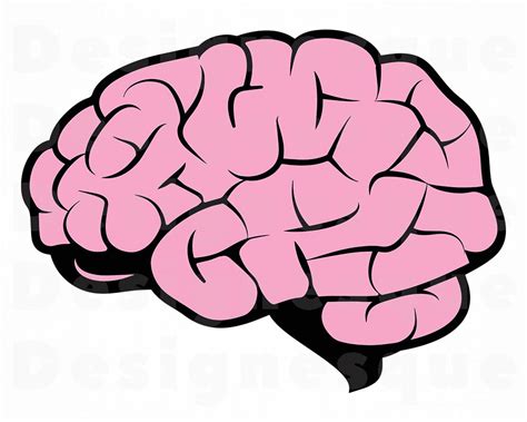 brain clip art